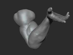 10 mens muscular arms 3D Model