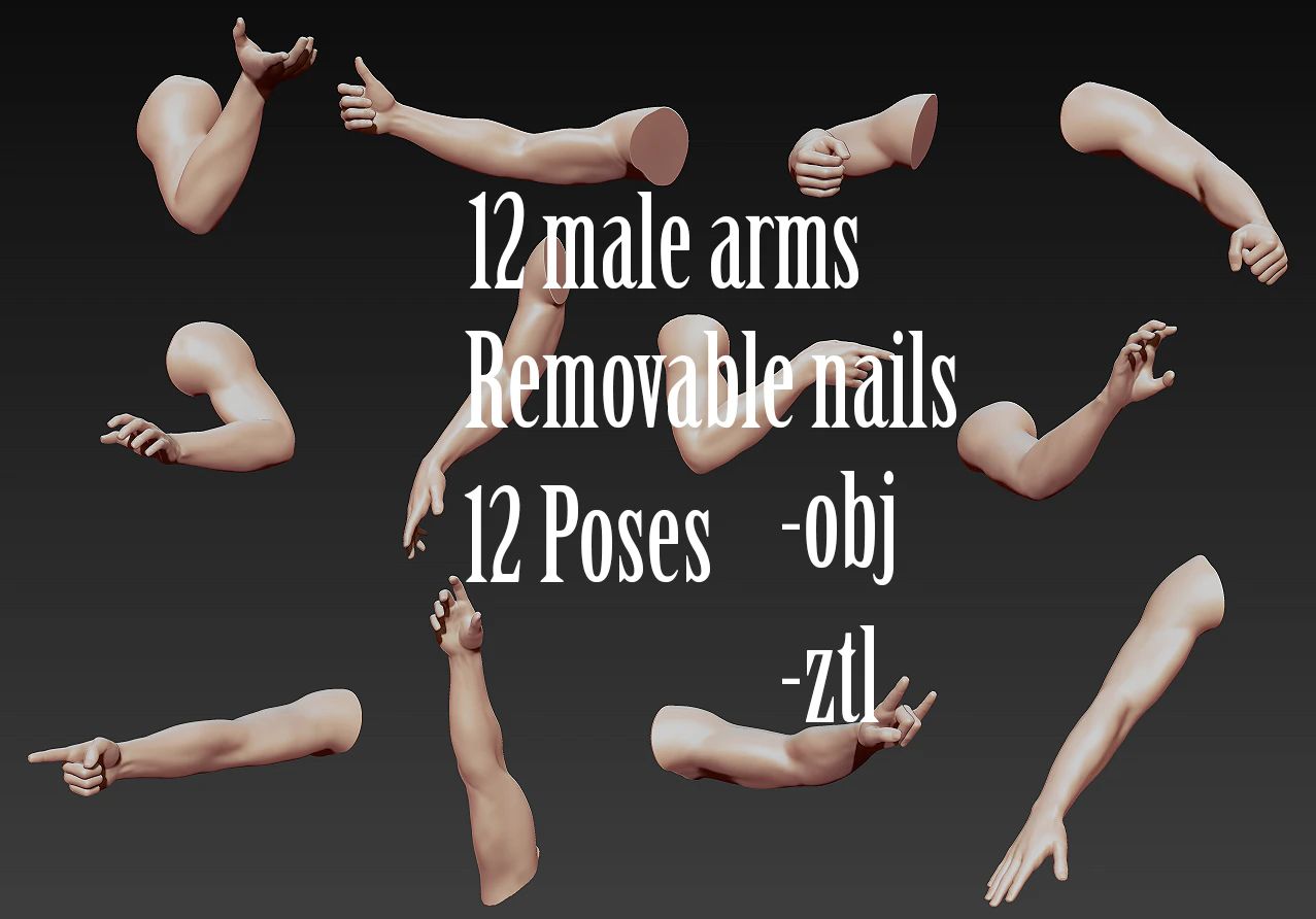 12 male arms 3D Model .c4d .max .obj .3ds .fbx .stl .blend