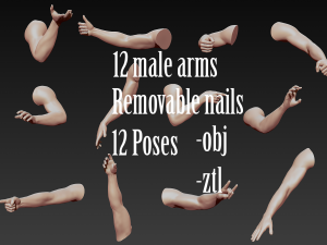 12 male arms Model 3D