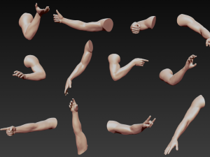 12 male arms 3D Модель