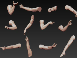 12 male arms 3D Model