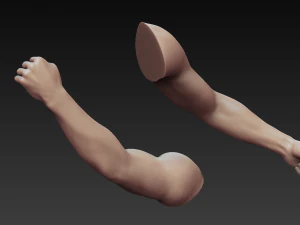 12 male arms 3D Model
