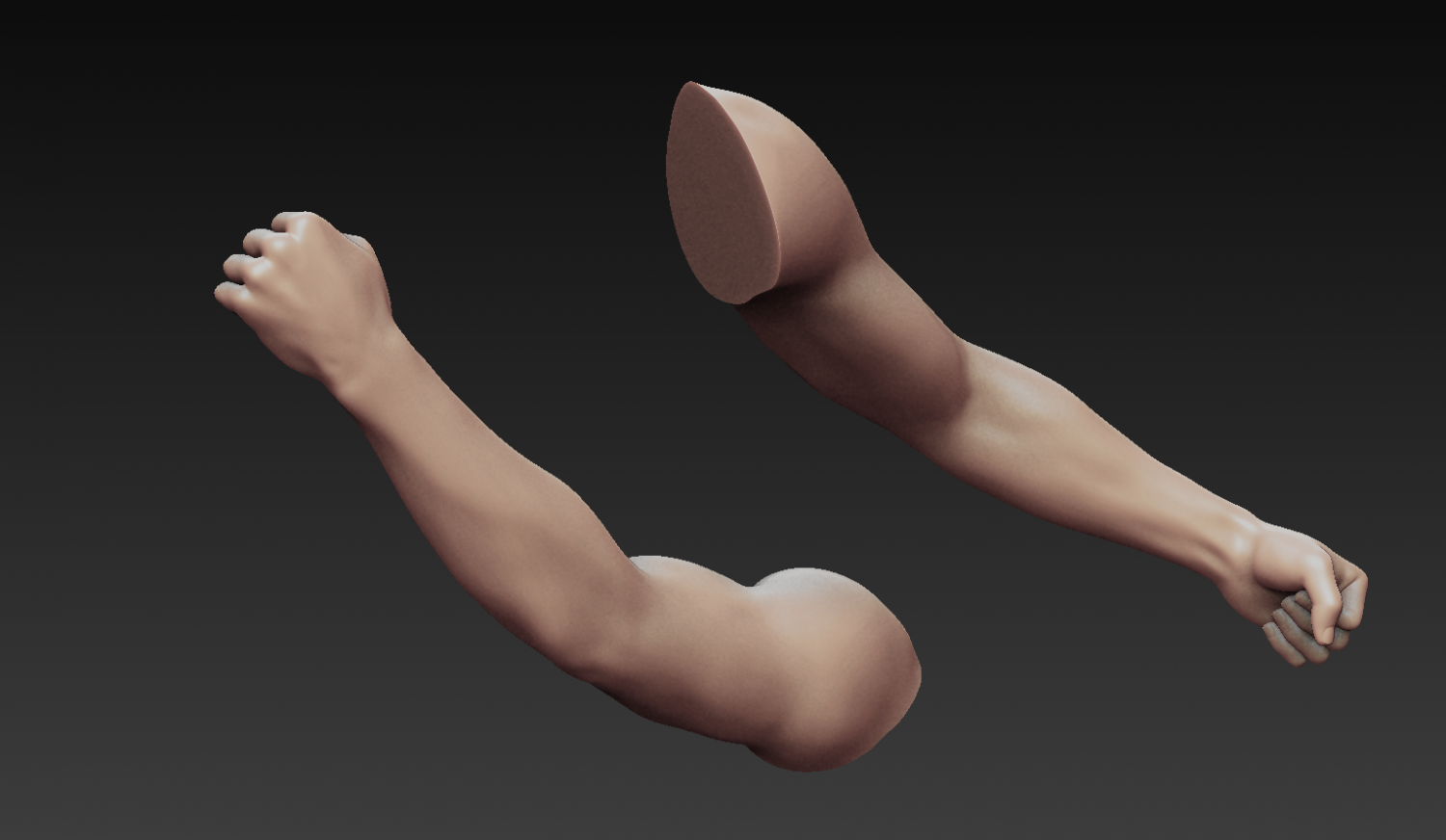 Arm 3d model. 3d Arms. Male Arm 3d. 3d male Arms download.