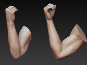 12 male arms 3D Модель