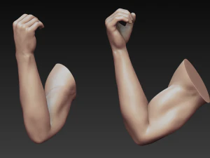 12 male arms 3D Model