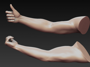 12 male arms 3D Модель