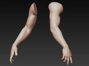 12 male arms 3D Model