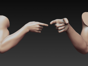 12 male arms 3D Модель