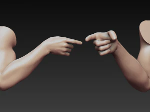 12 male arms 3D Model
