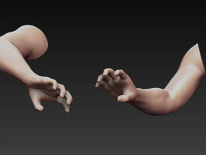 12 male arms 3D Model