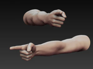 12 male arms 3D Model