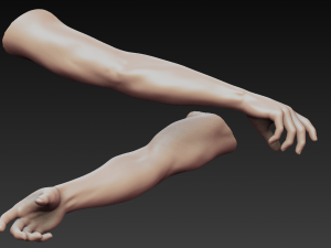 12 male arms 3D Модель