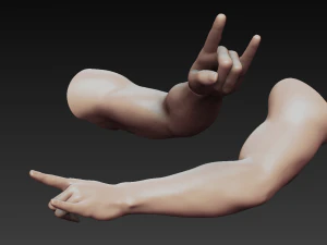 12 male arms 3D Model