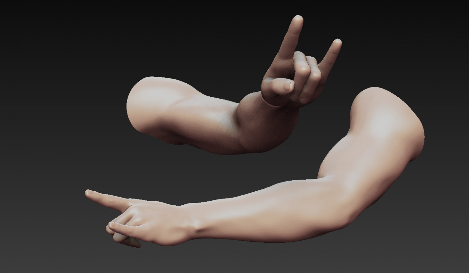 Arm 3d model