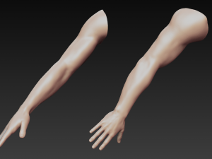 12 male arms 3D Модель