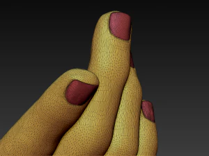 12 male arms 3D Model