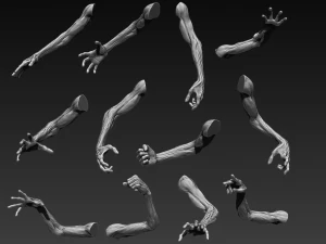 12 zombie arms 3D Model