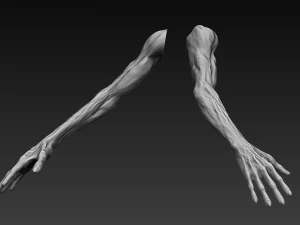 12 zombie arms 3D Model