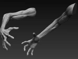 12 zombie arms 3D Model