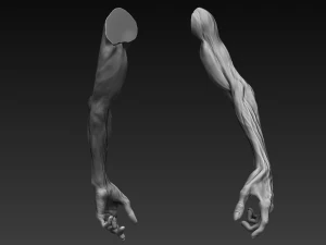12 zombie arms 3D Model