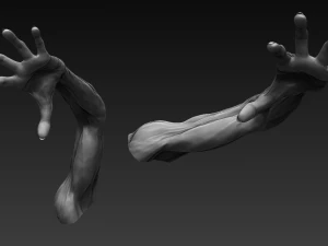 12 zombie arms 3D Model