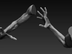 12 zombie arms 3D Model