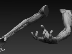 12 zombie arms 3D Model