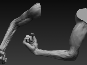 12 zombie arms 3D 모델
