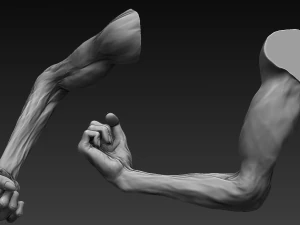 12 zombie arms 3D Model