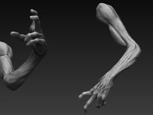 12 zombie arms 3D Model