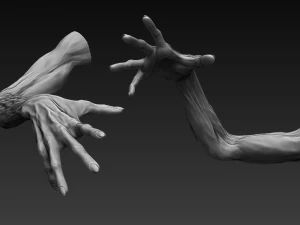 12 zombie arms 3D Model
