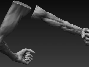 12 zombie arms 3D Model