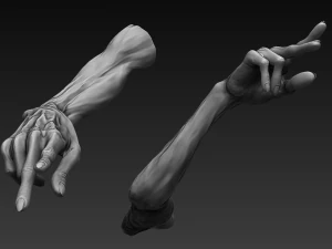 12 zombie arms 3D Model