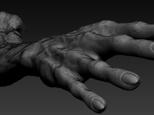 12 zombie arms 3D Model