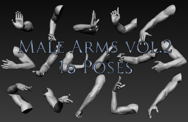 16 male arms 3D Model .c4d .max .obj .3ds .fbx .stl .blend 