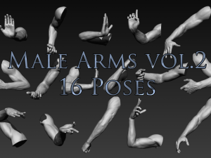 16 male arms Model 3D