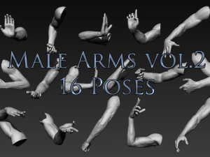 16 brazos masculinos Modelo 3D