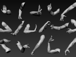 16 male arms 3D Model