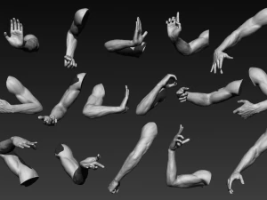 16 male arms 3D Model