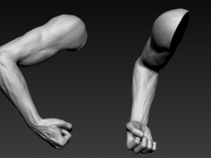 16 male arms 3D Model