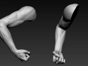 16 male arms 3D Model