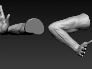 16 male arms 3D Model