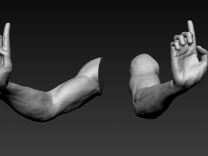 16 male arms 3D Model