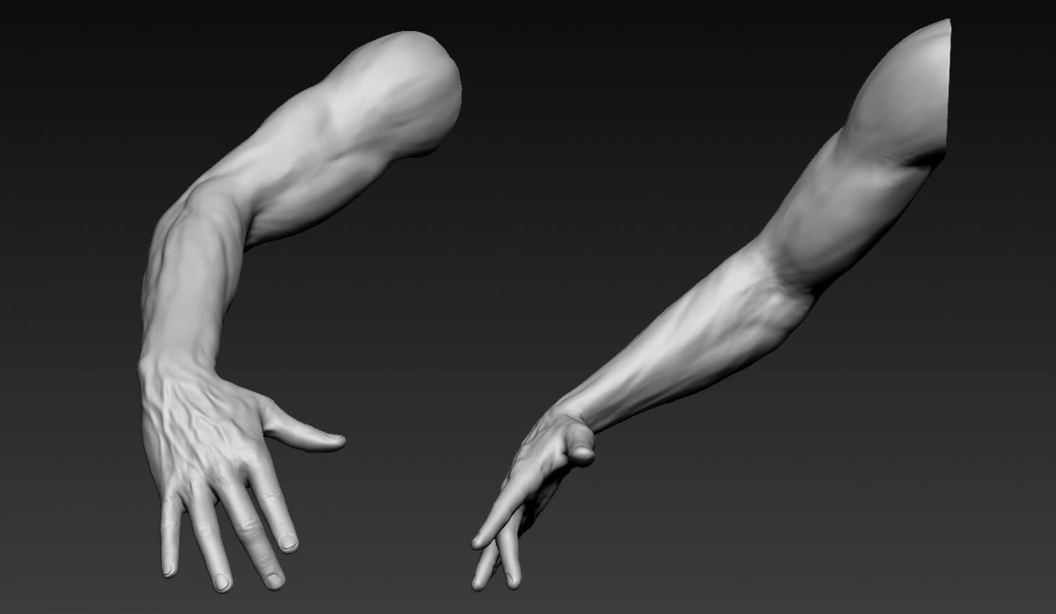 Arm 3d model. Arm 3d model free.