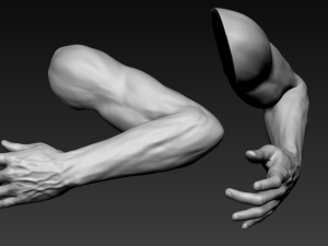 16 male arms 3D Model
