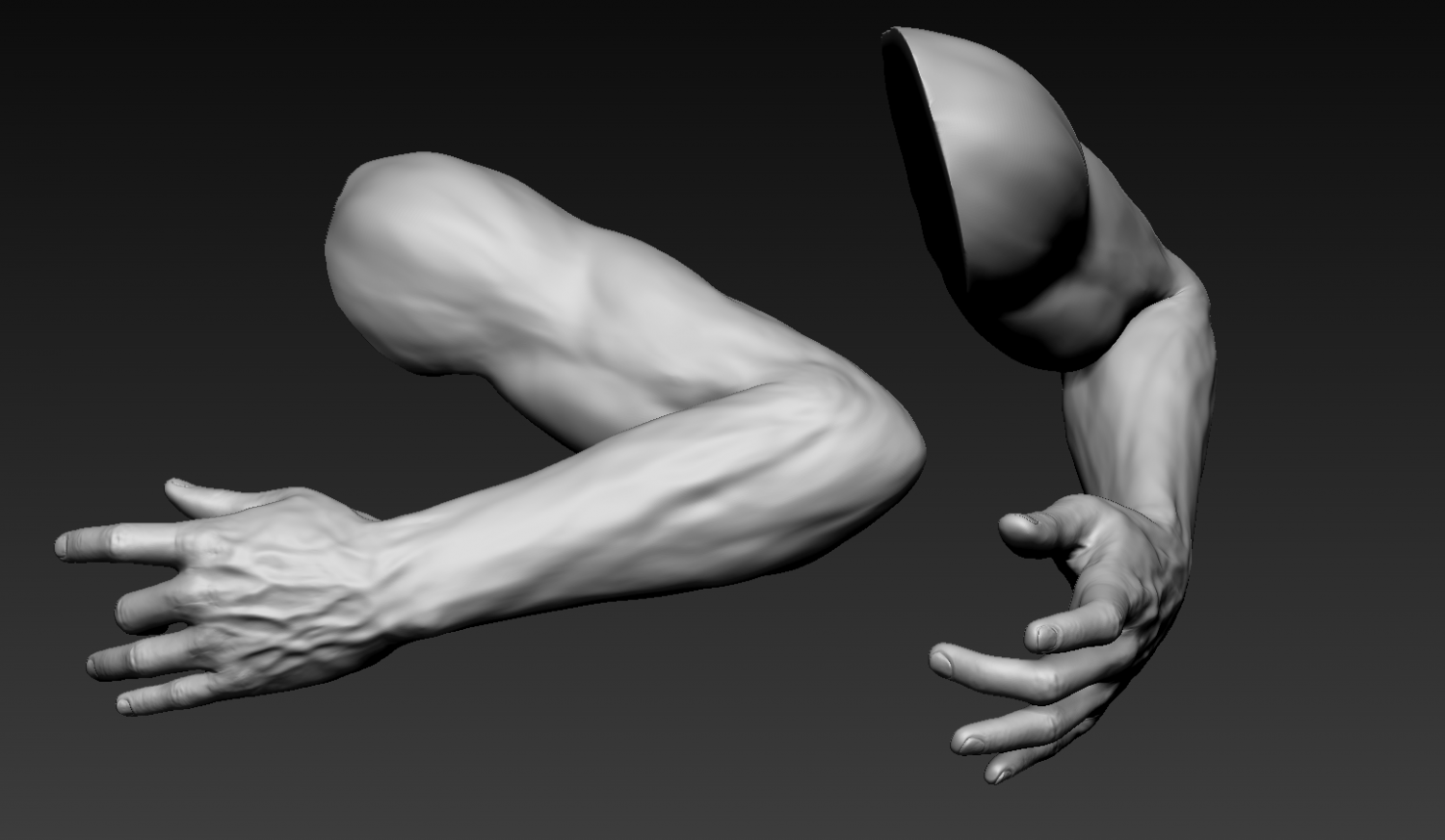 Arm 3d model. Arm 3d model покрутить. Man Arm 3d model. Male Arm 3d.