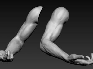 16 male arms 3D Model