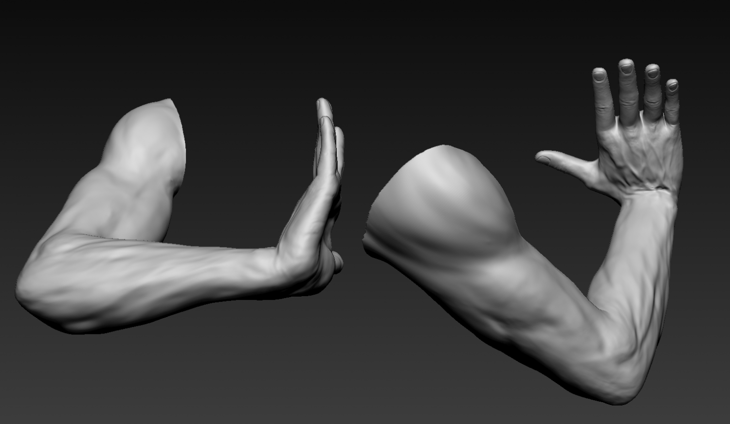 Arm 3d model