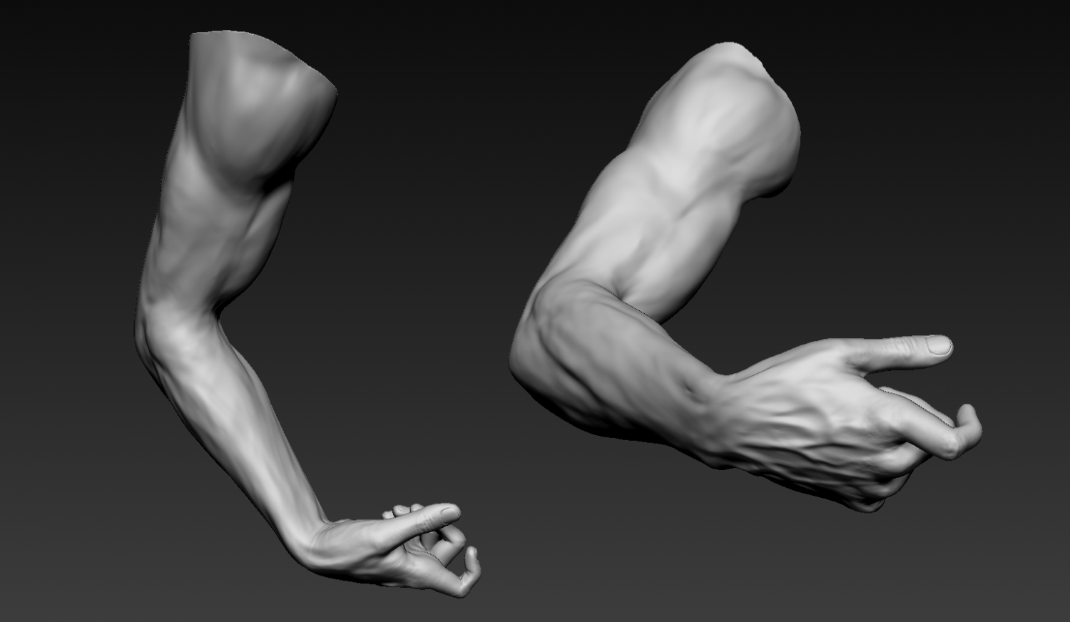 Arm 3d model. Arm 3d model free. How model Arm.