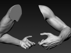 16 male arms 3D Model